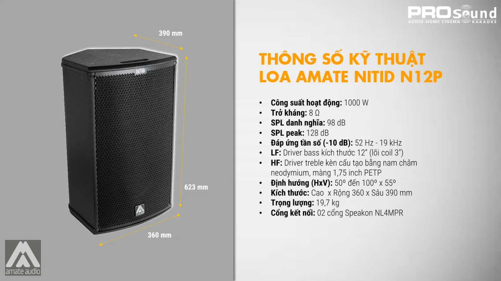 Thông số kỹ thuật loa AMATE Nitid N12P