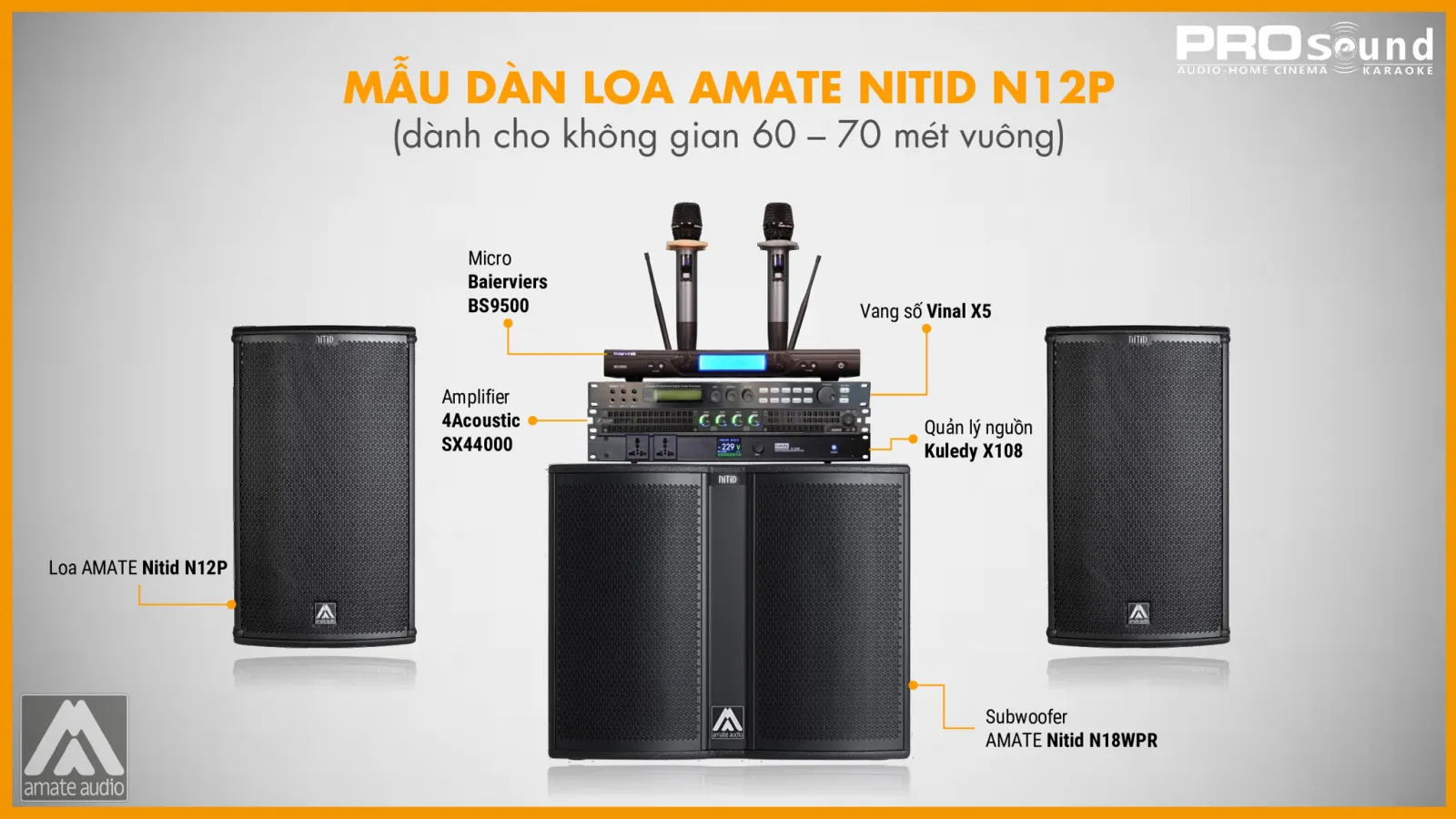Mẫu dàn loa AMATE Nitid N12P