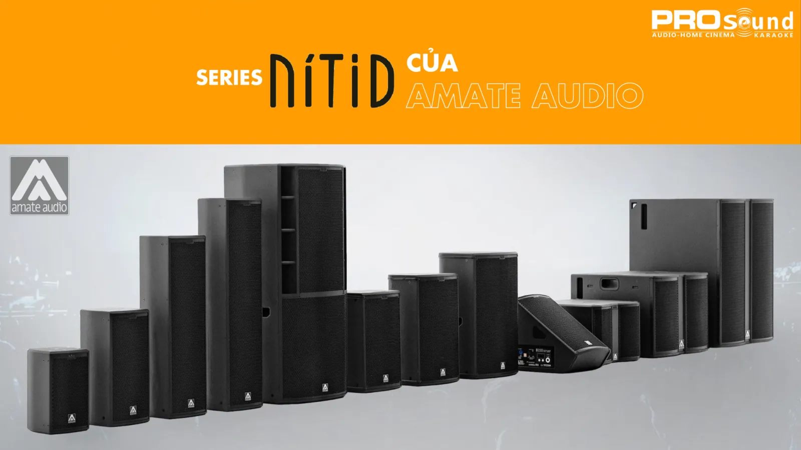Series loa Nitid của Amate