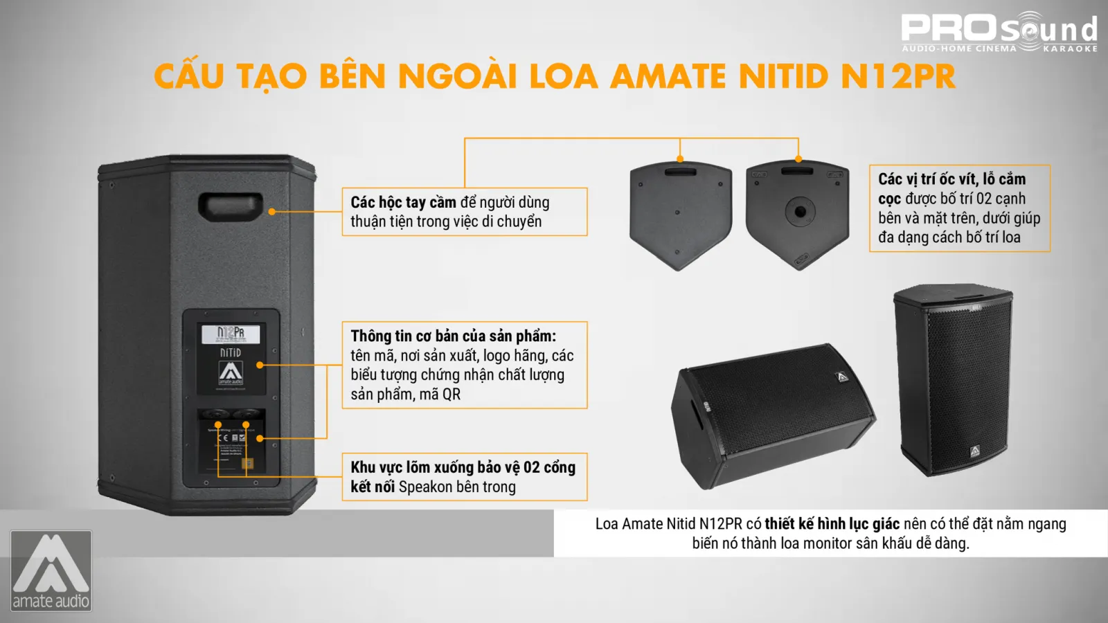 thùng loa AMATE Nitid N12PR