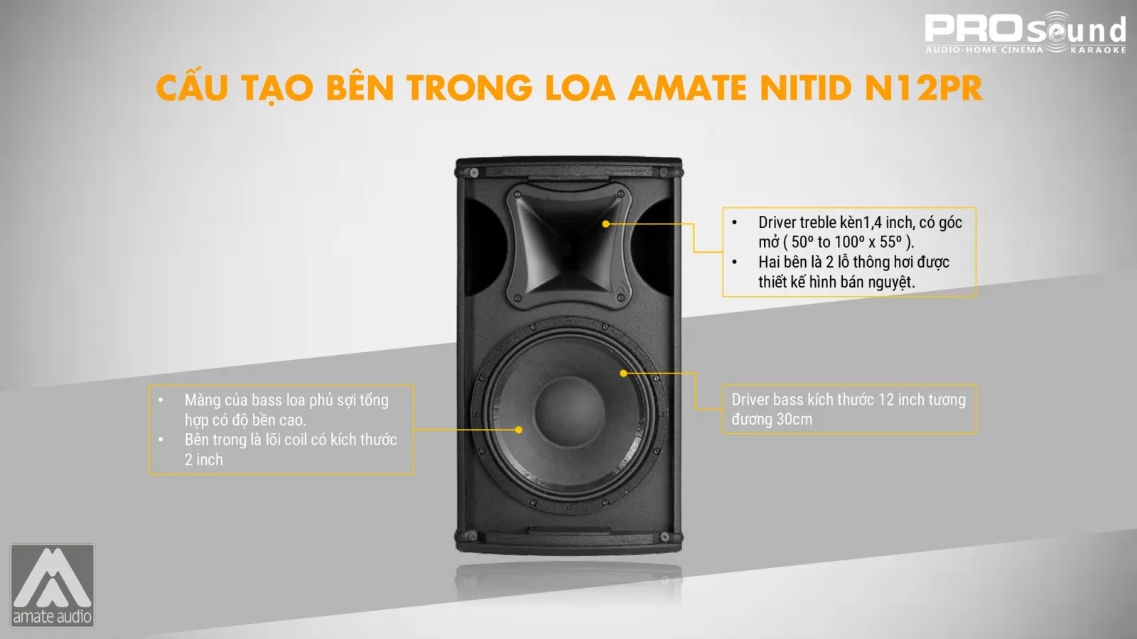 Cấu tạo bên trong loa AMATE Nitid N12PR