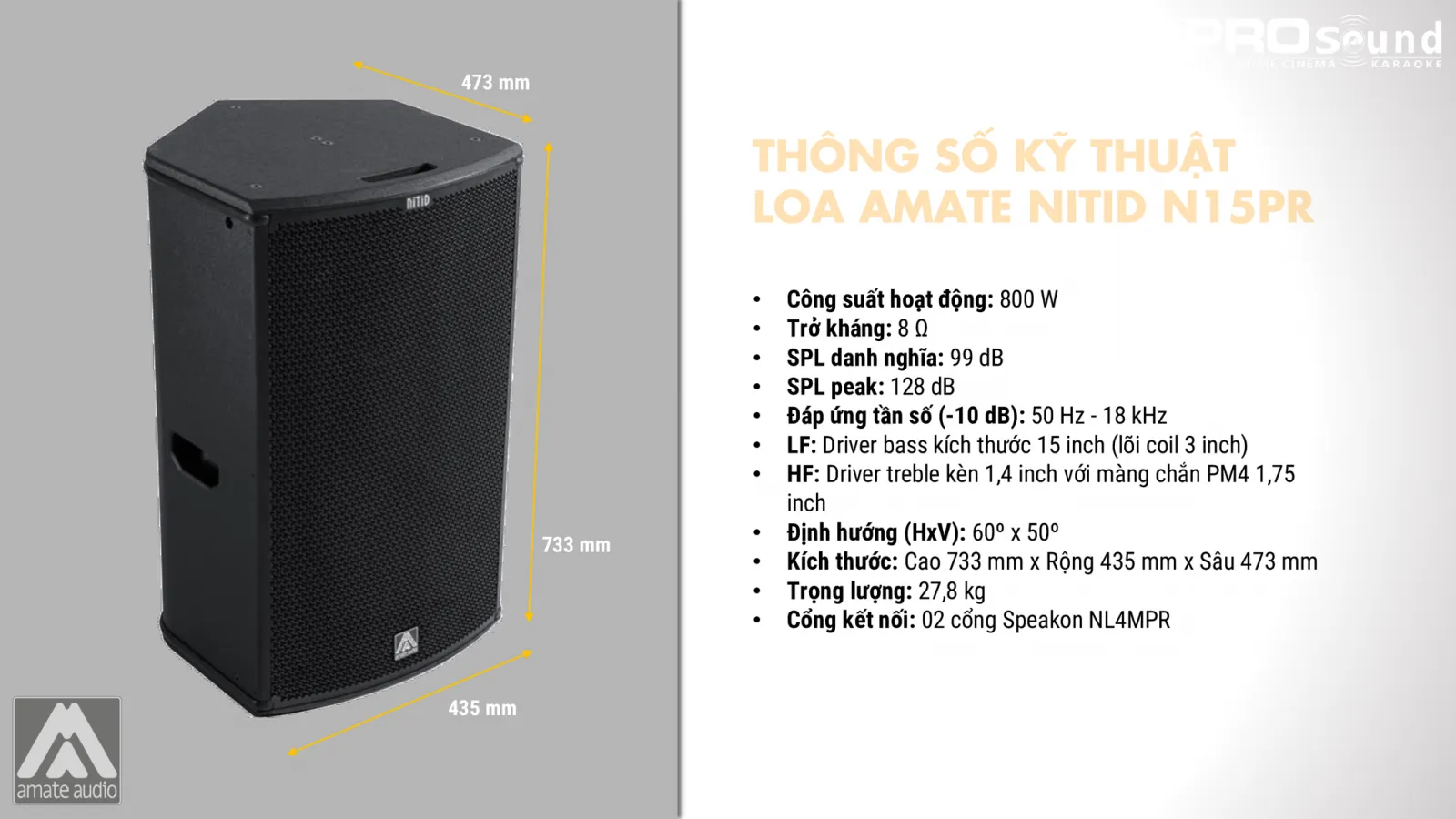Thông số kỹ thuật loa AMATE Nitid N15PR