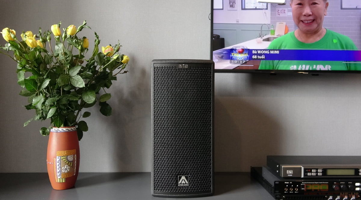 Loa Amate Nitid N26P chuyên dụng 