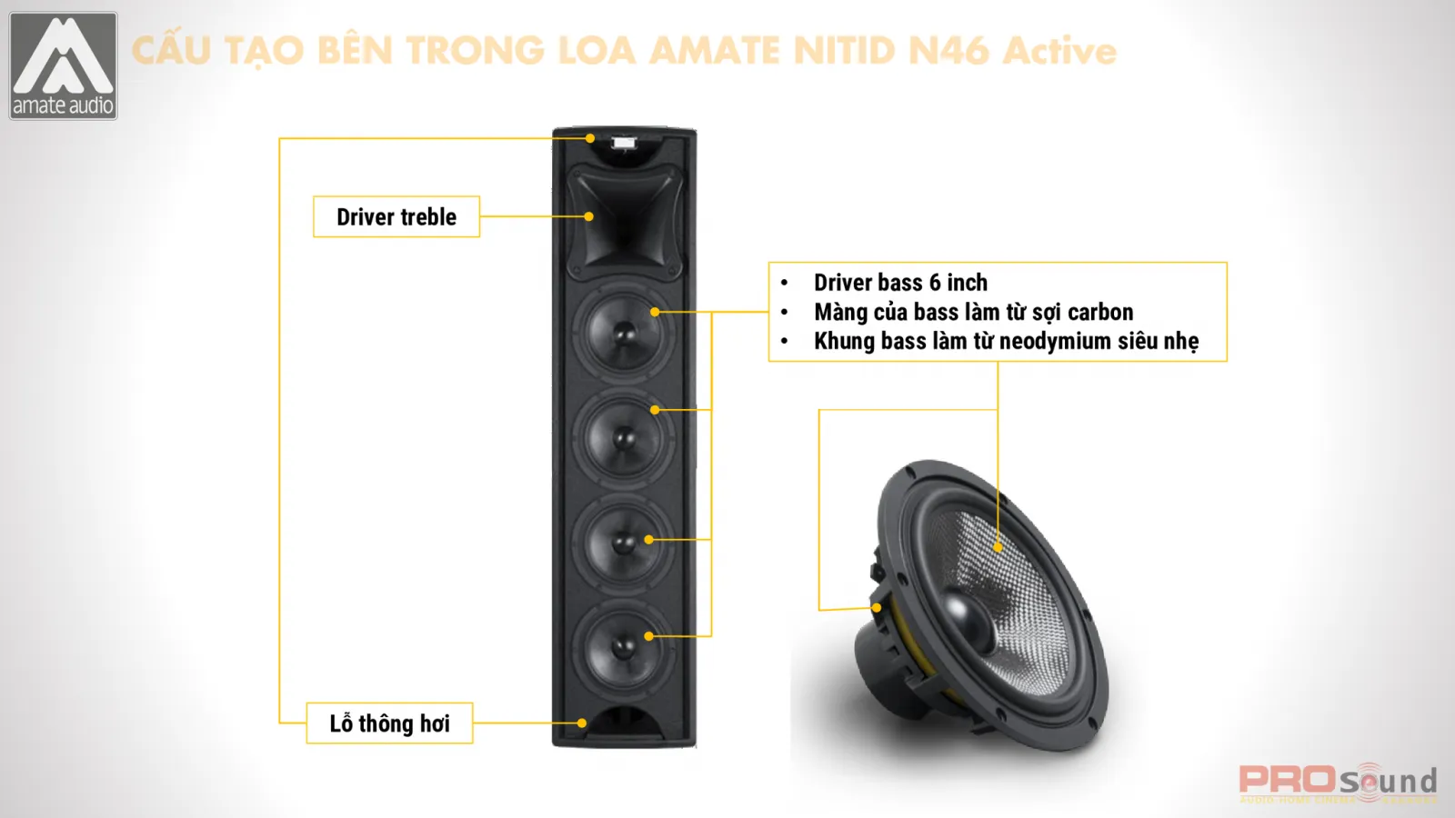 Cấu tạo bên trong loa AMATE Nitid N46 Active