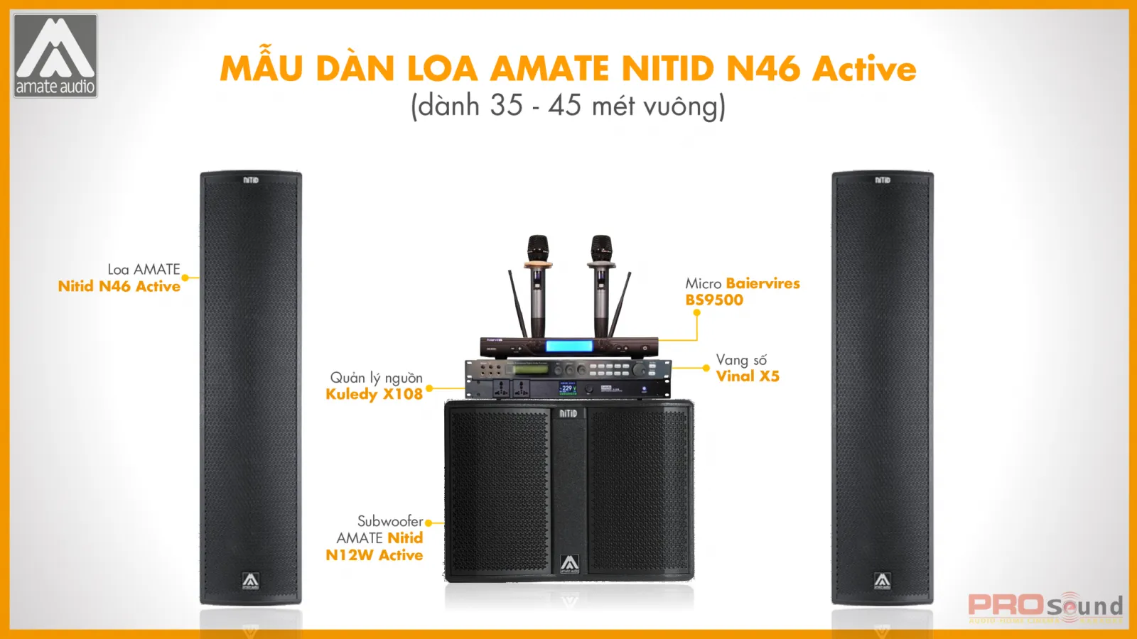 Mẫu loa AMATE Nitid N46 Active
