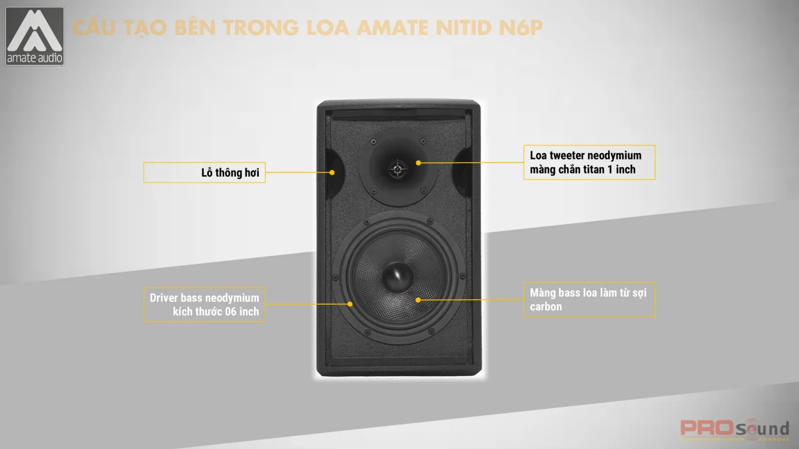 Cấu tạo bên trong loa AMATE Nitid N6P
