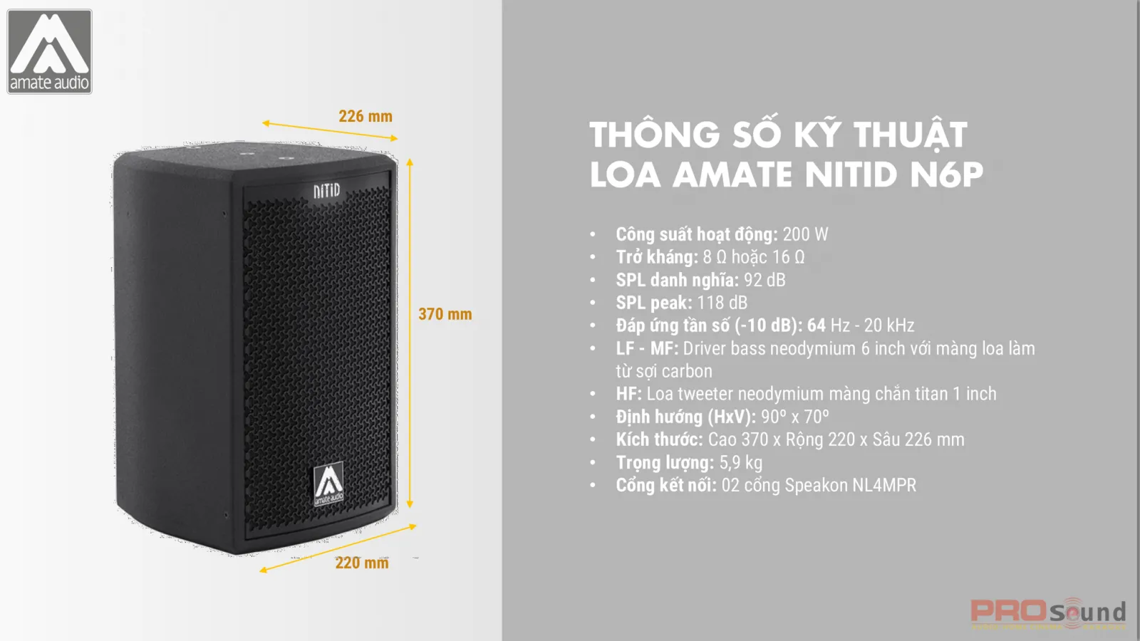 Thông số kỹ thuật loa AMATE Nitid N6P