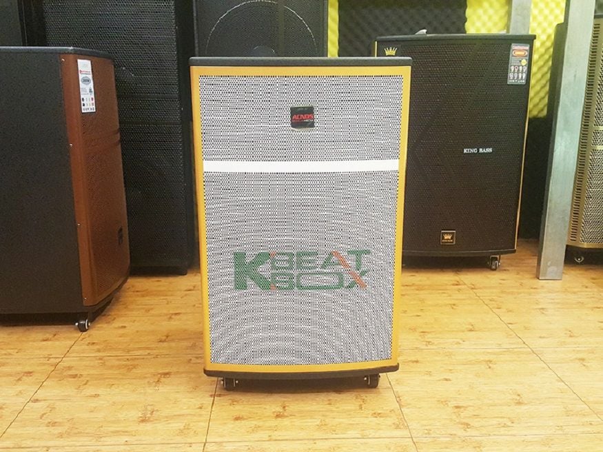 Loa karaoke giá rẻ di động 