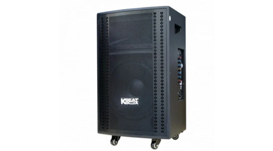 loa karaoke mini cao cấp bluetooth