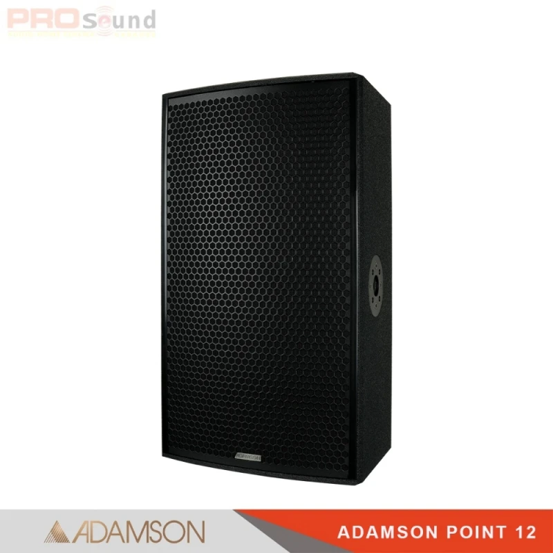 Loa cao cấp Adamson Point 12