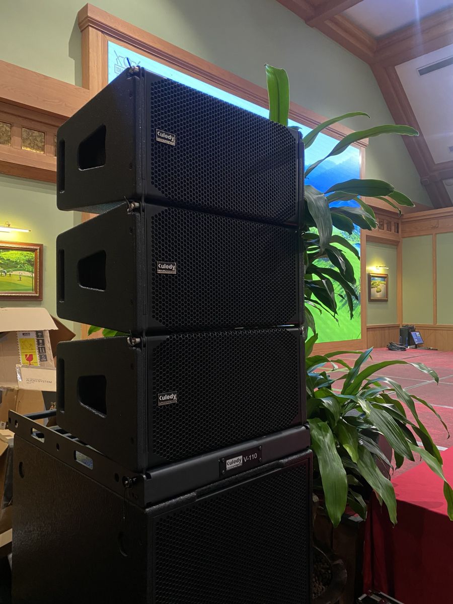 loa line array kuledy v110