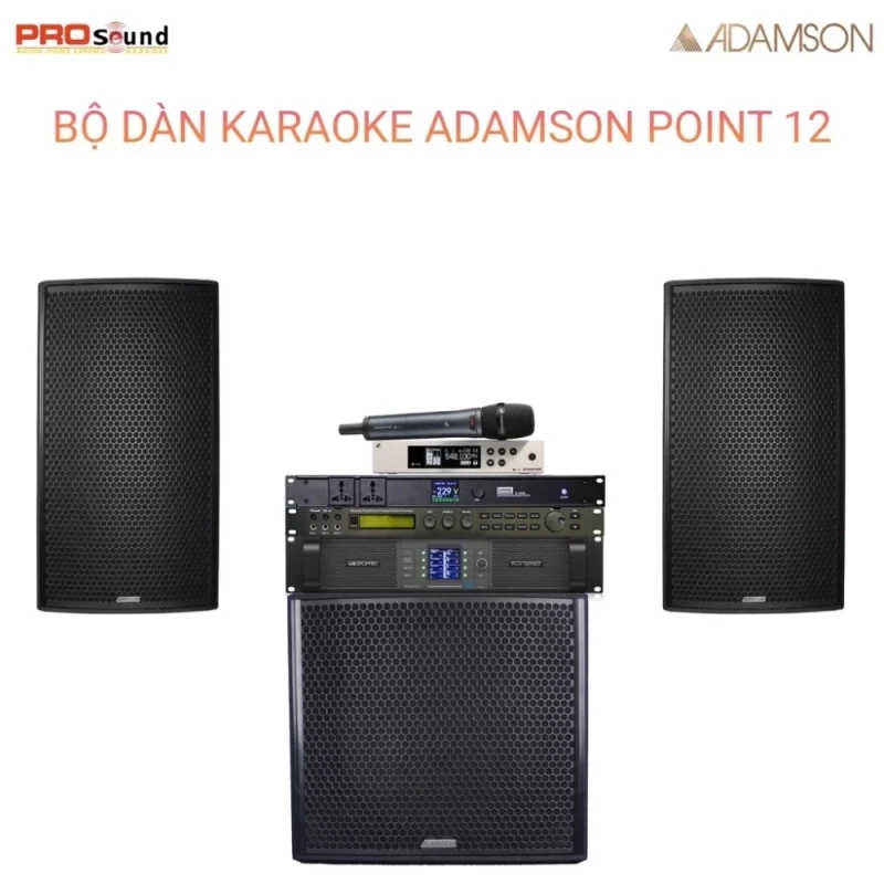 Dàn karaoke gia đình Adamson Point 12