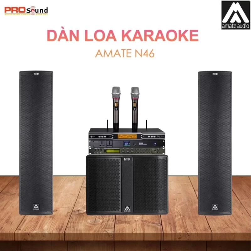 Dàn loa chuyên nghiệp cao cấp Amate N46