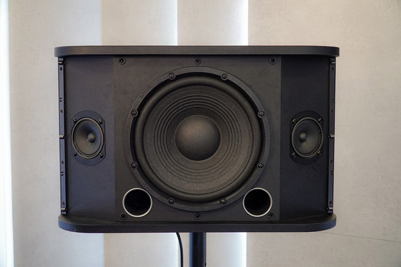 loa chuyên nghiệp cao cấp được chọn để sử dụng trong phòng hát