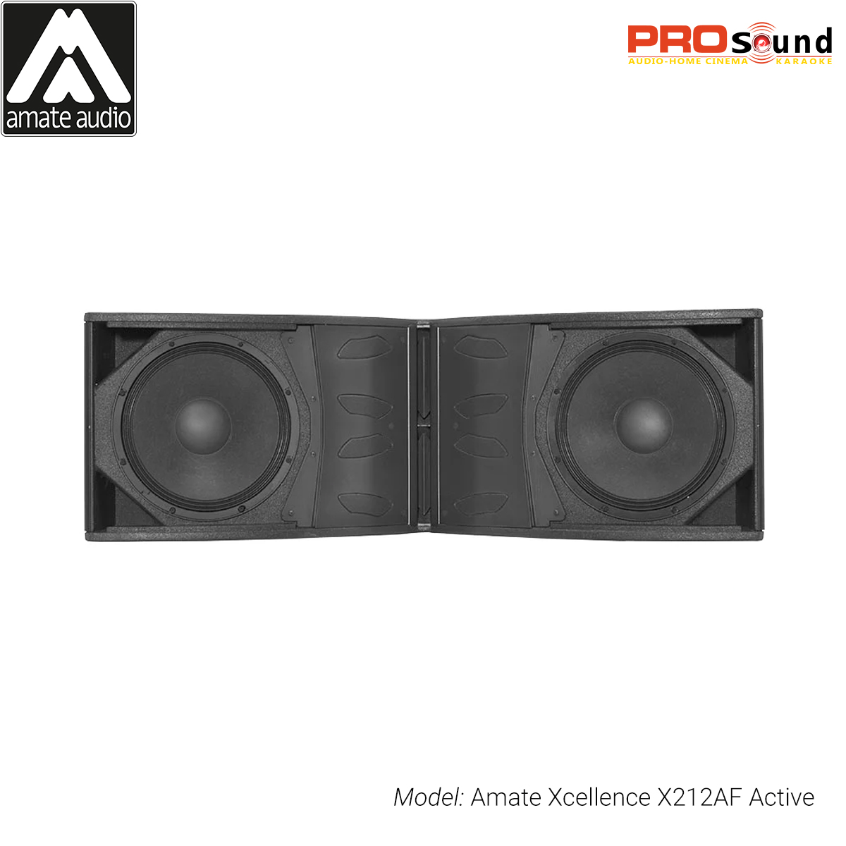Line Array Xcellence X212AF Active