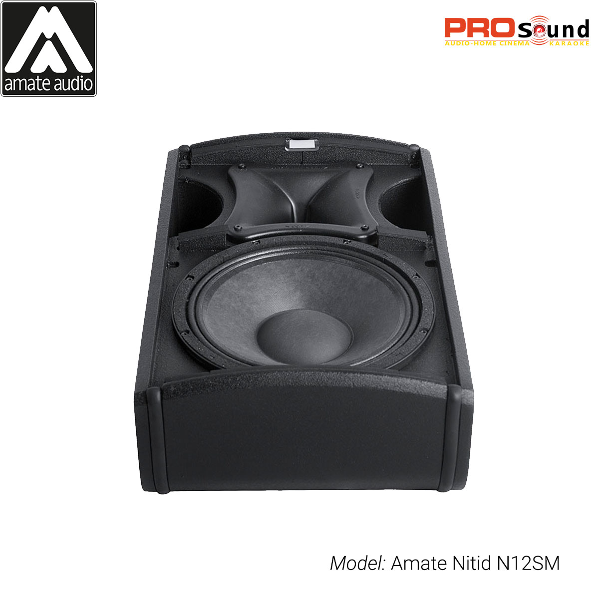 Loa Nitid N12SM Active chuyên dụng 