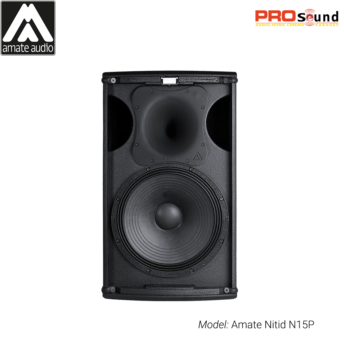 Loa karaoke chuyên nghiệp Amate Nitid N15P