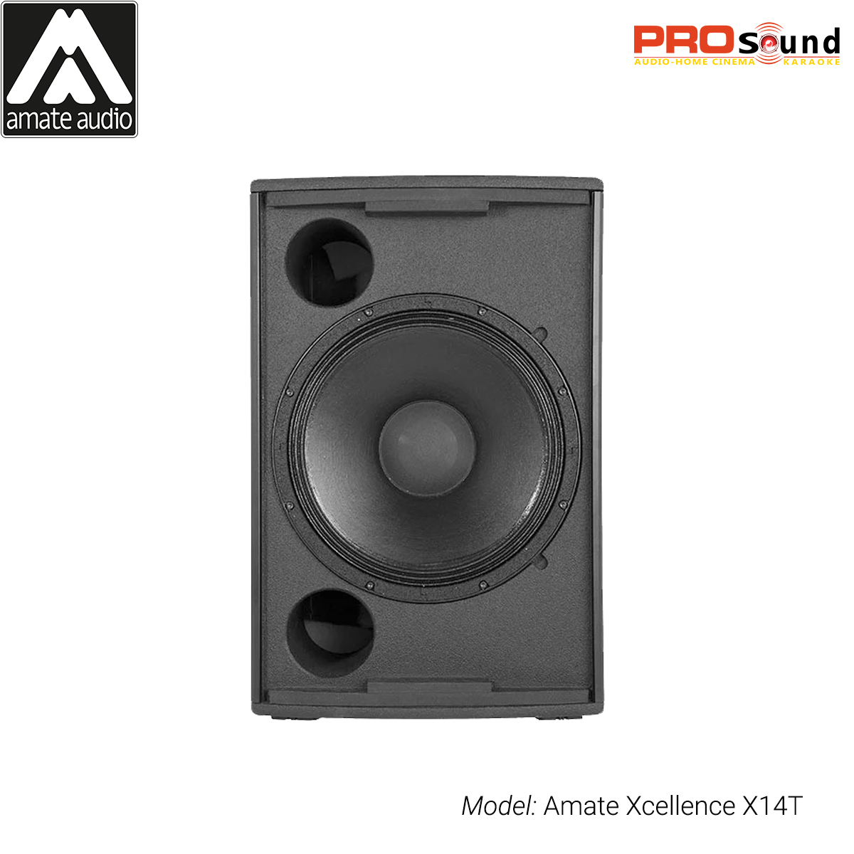 Loa Amate Xcellence X14T Active đảm bảo chất lượng