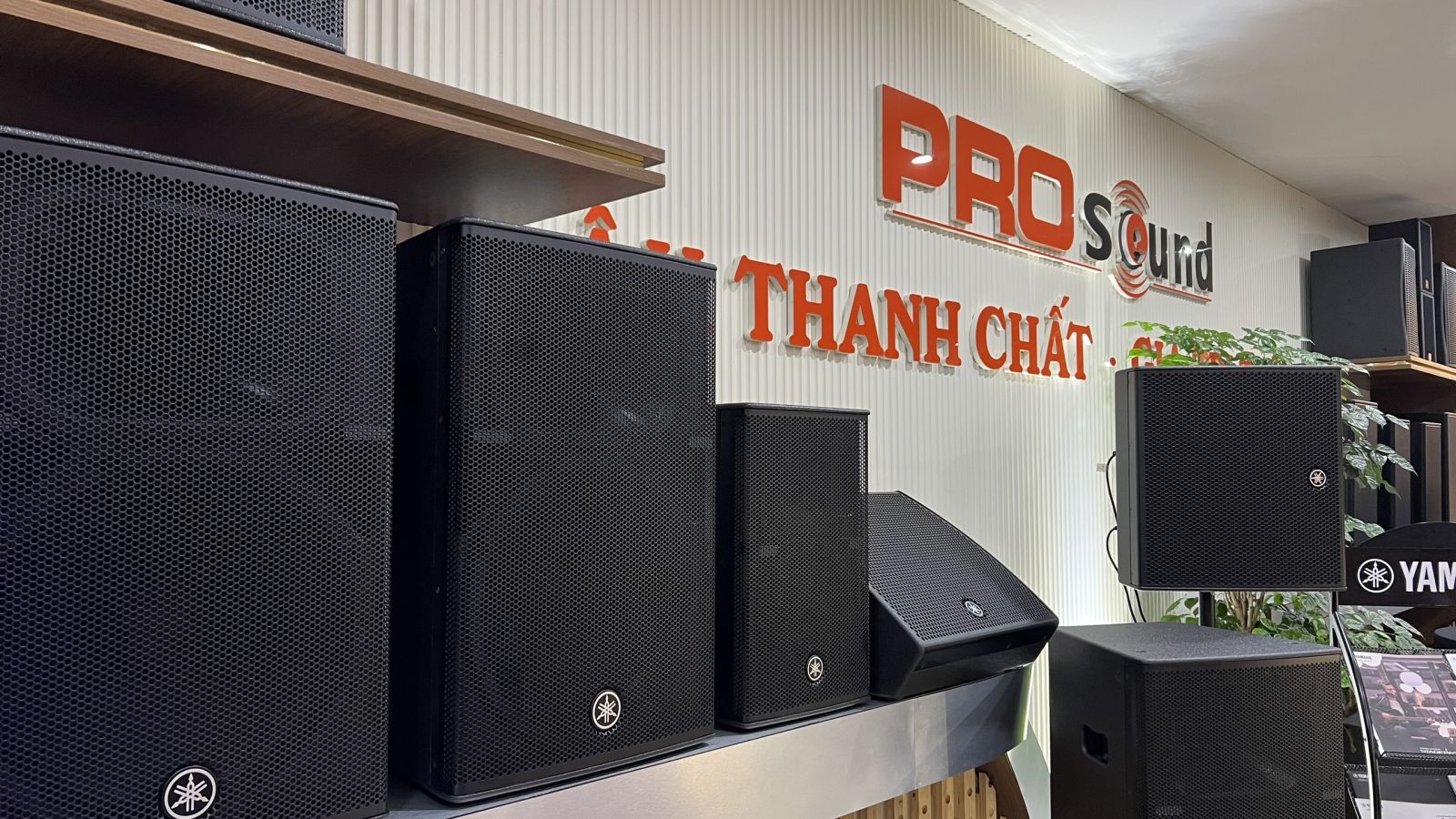 Prosound tổ chức sự kiện