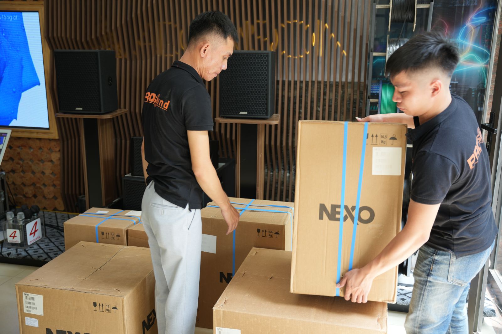 loa hát karaoke chuyên nghiệp Nexo