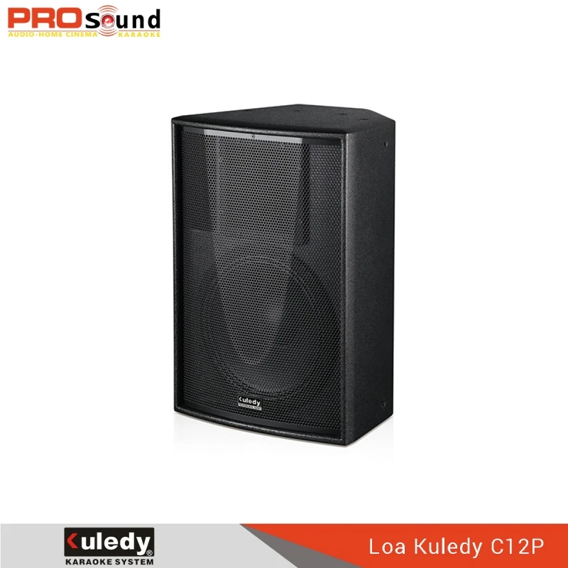 Loa cao cấp Kuledy C12P 