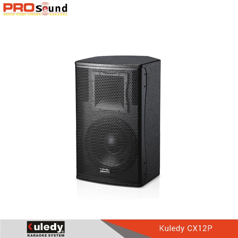 Loa Kuledy CX12P