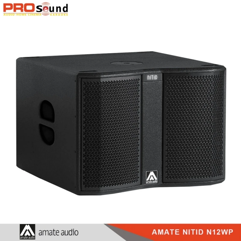 Loa sub Amate N12WPR