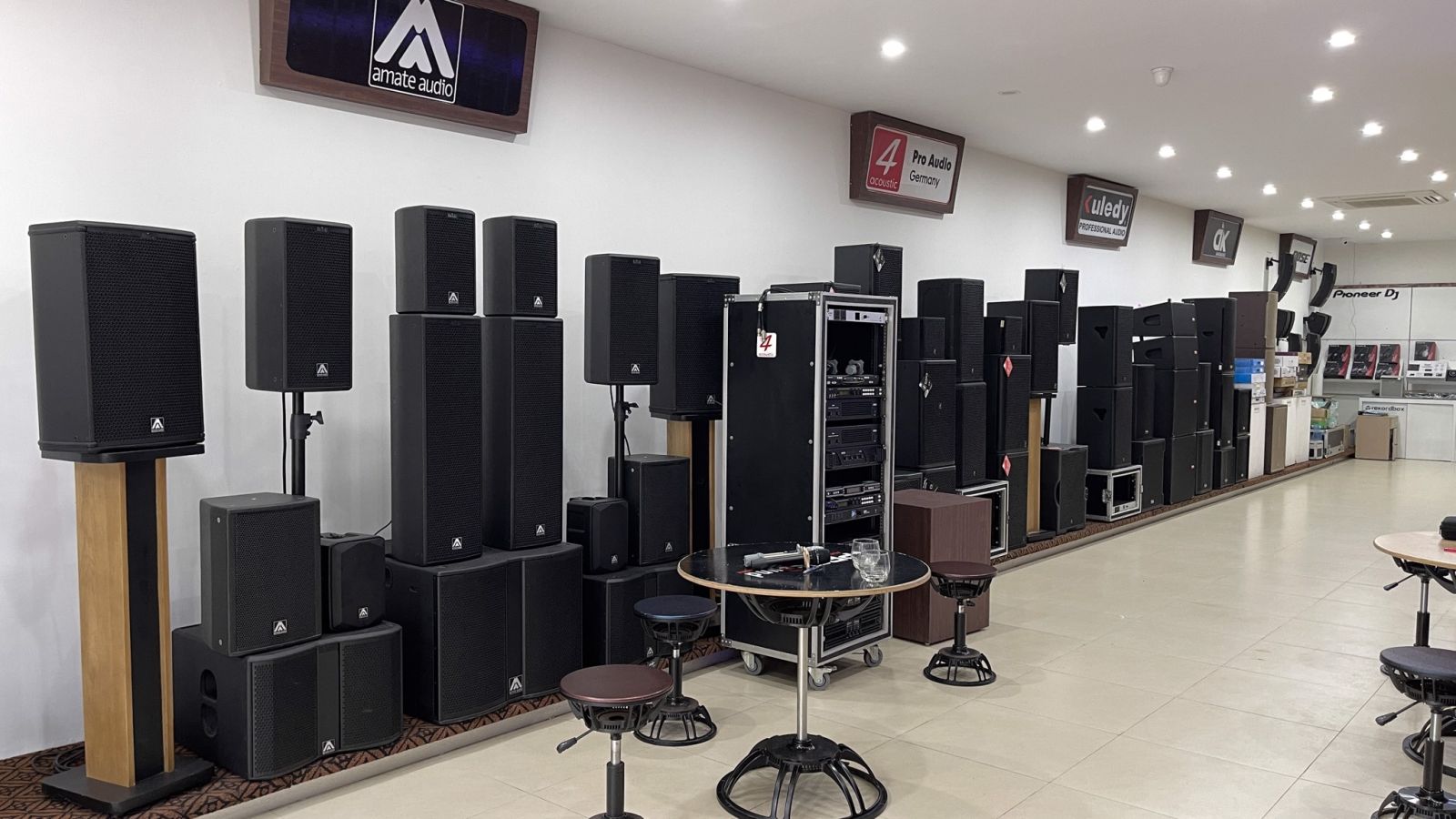 loa karaoke cao cấp
