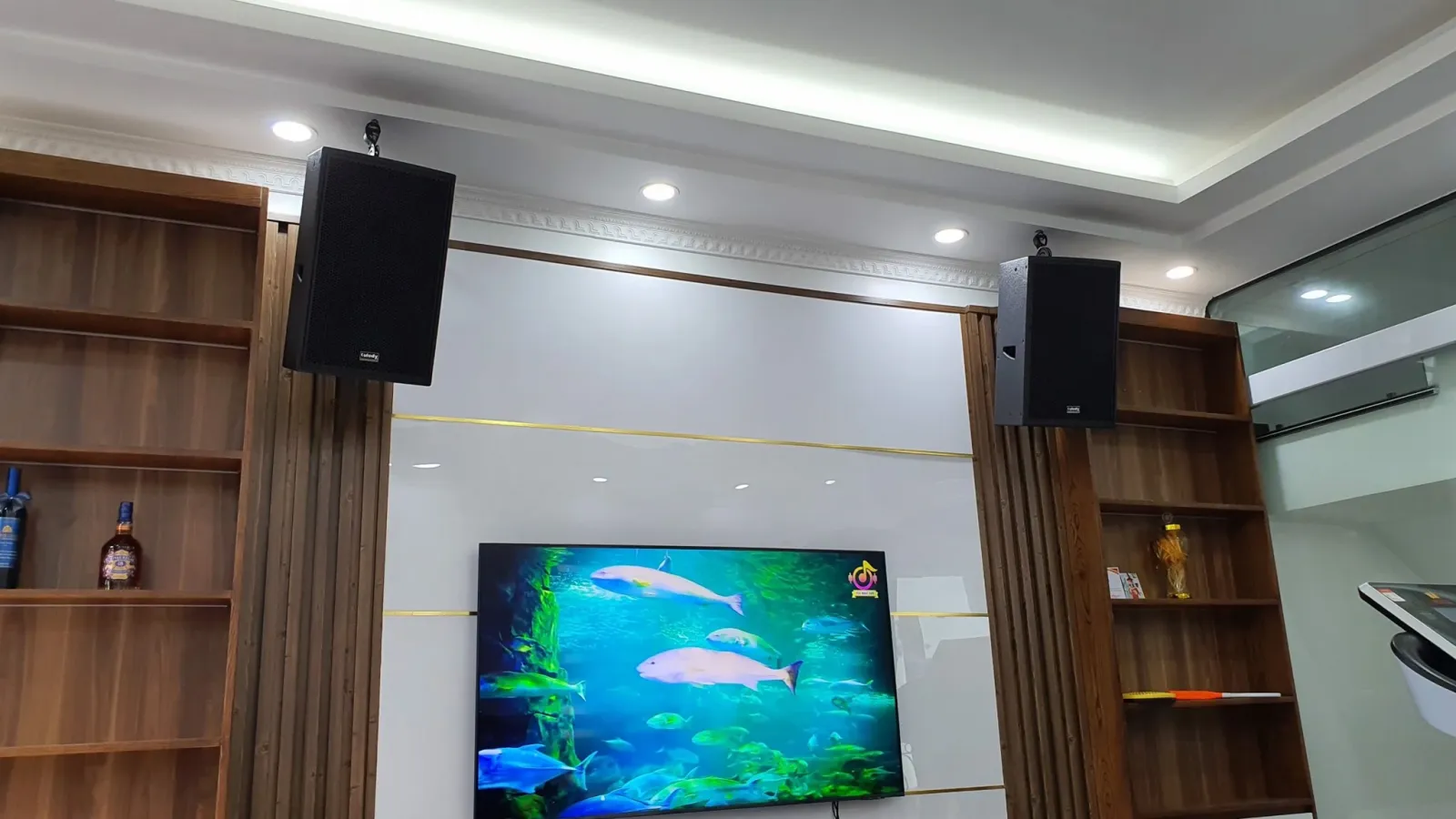 dàn karaoke gia đình cao cấp tái hiện âm thanh trong trẻo