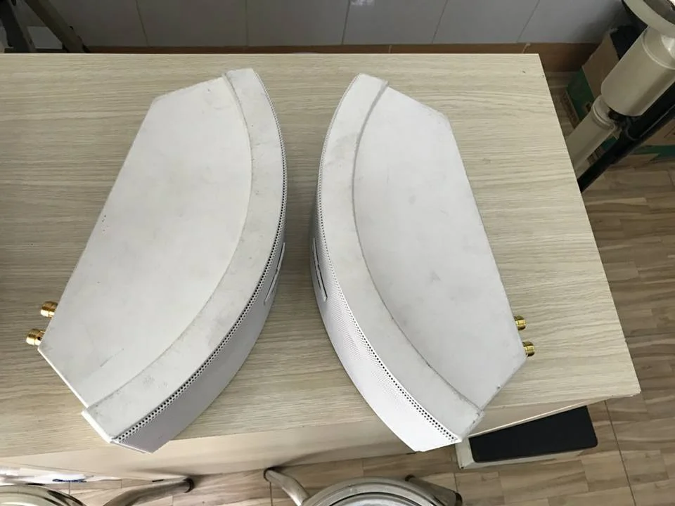 Loa ngoài trời Bose 151SE