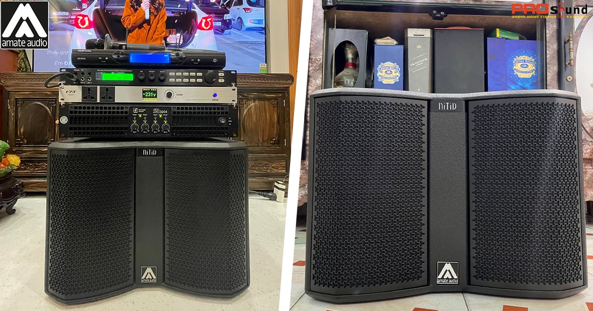 Loa subwoofer Amate N12WP
