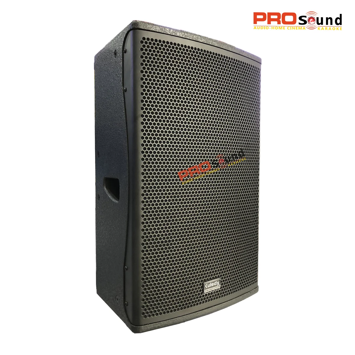 Loa Kuledy C12