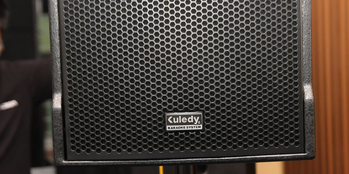Loa Karaoke J12