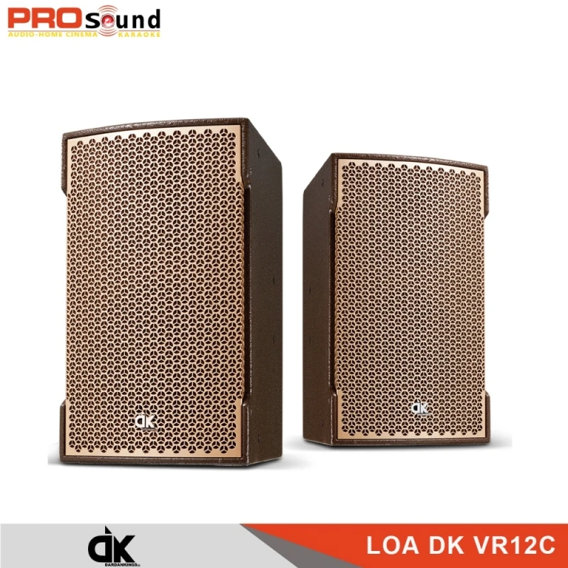 1 Đôi loa DK VR12C