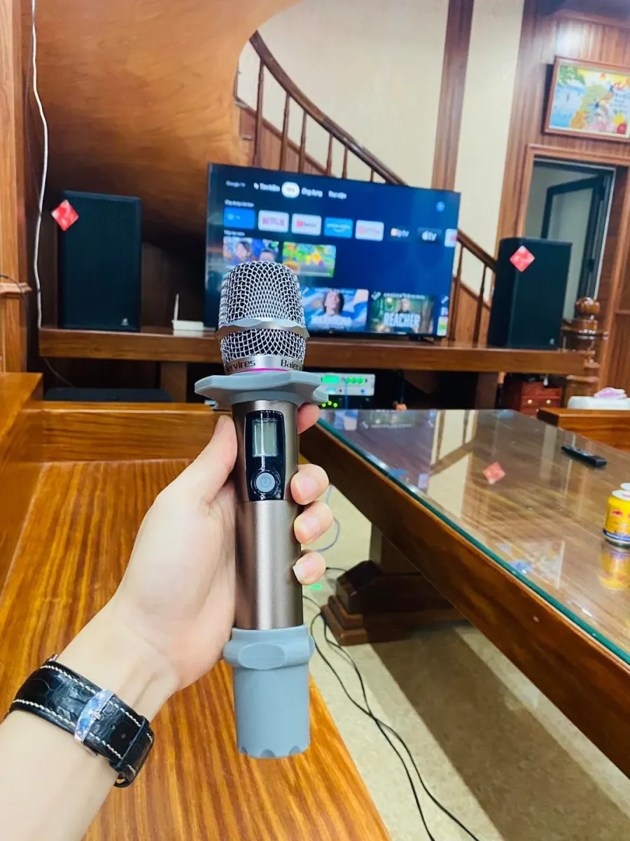 Micro Baiervires 1 thể hiện tiếng hát trong trẻo