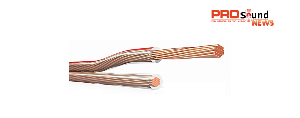 Dây Loa Klotz LY2075P