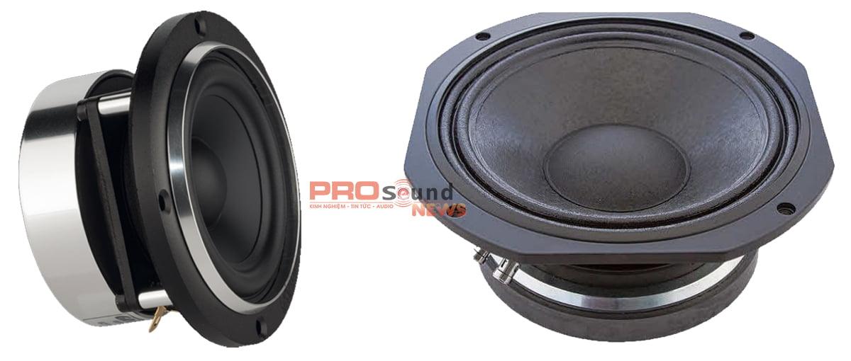 loa bass
