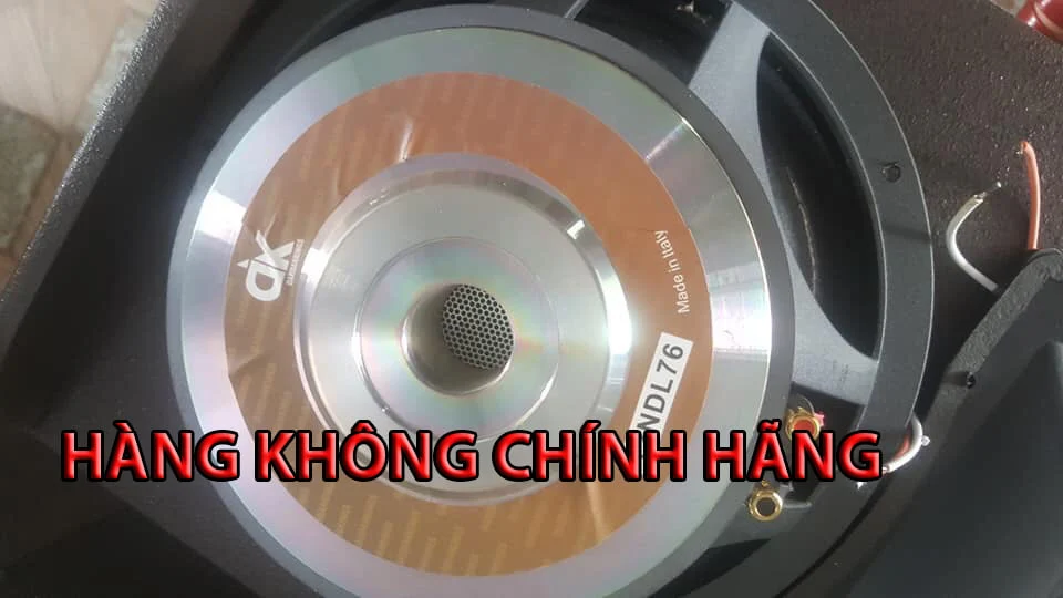 loa giả