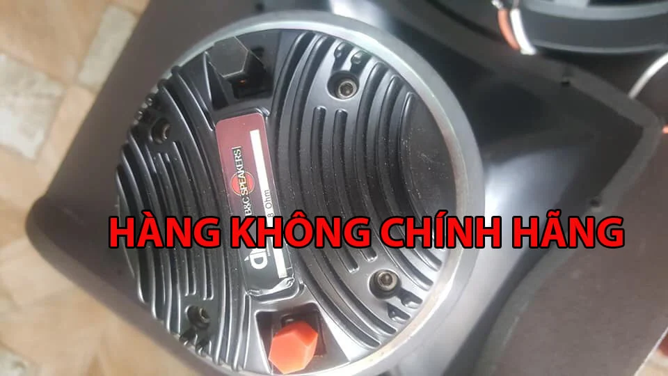 loa không chính hãng