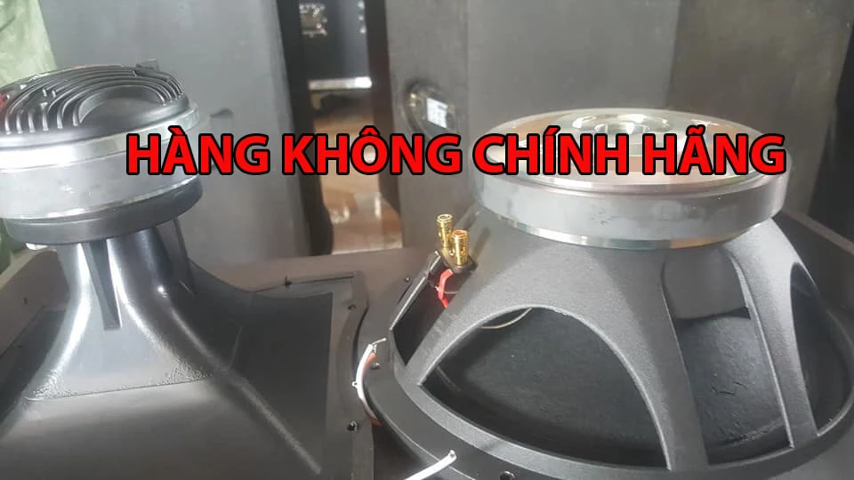 loa DK giả