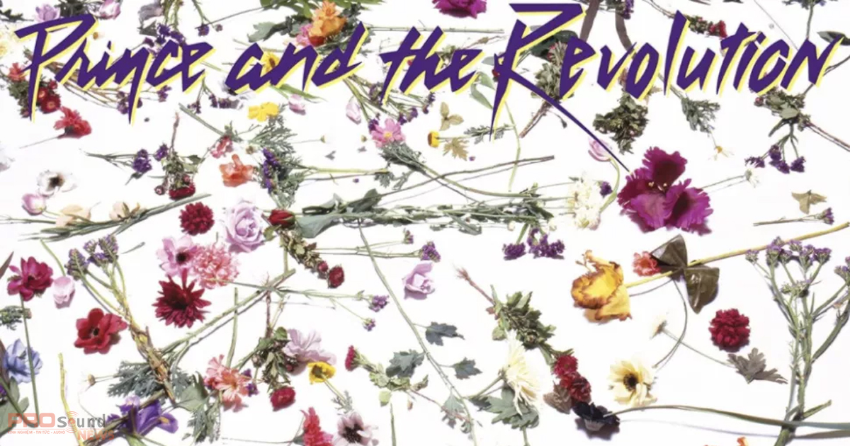 Prince-When Doves Cry (1984)