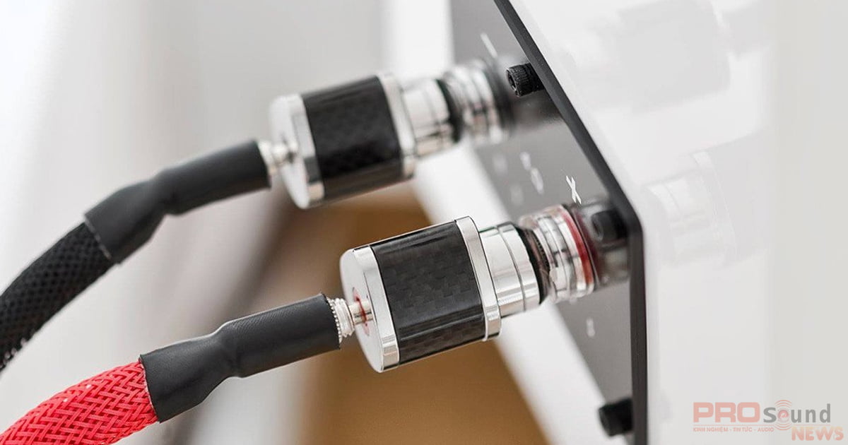 Cách cắm dây loa vào receiver và amplifier đúng cách