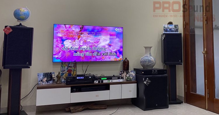 Một số thương hiệu mà bạn nên lựa chọn cho dàn loa Karaoke nhà mình?