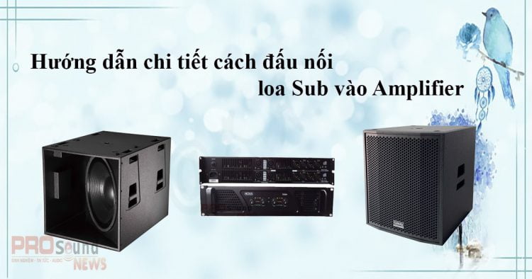 Hướng dẫn chi tiết cách đấu nối loa Sub vào Amplifier