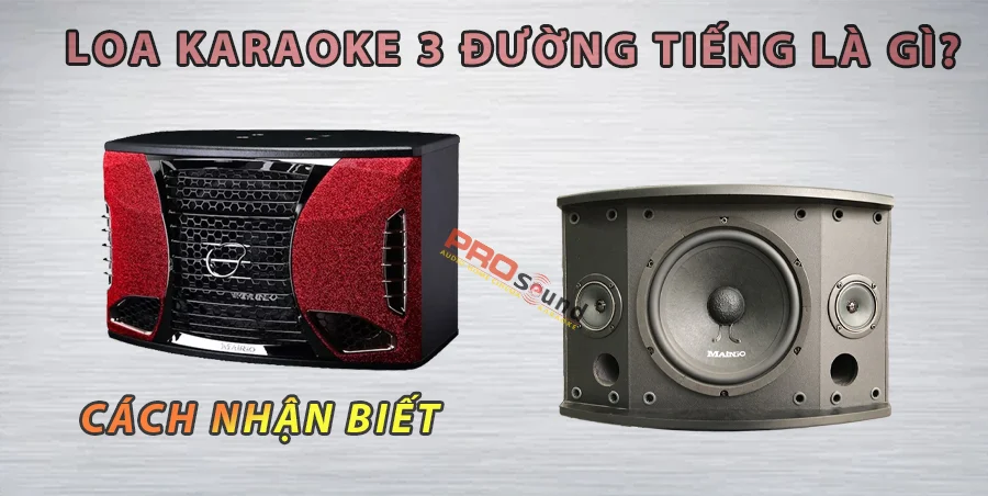 Loa karaoke 3 đường tiếng là gì? - Pro Sound Việt Nam