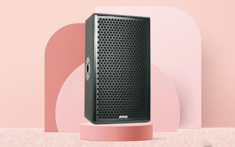 Loa Karaoke Adamson Point 12