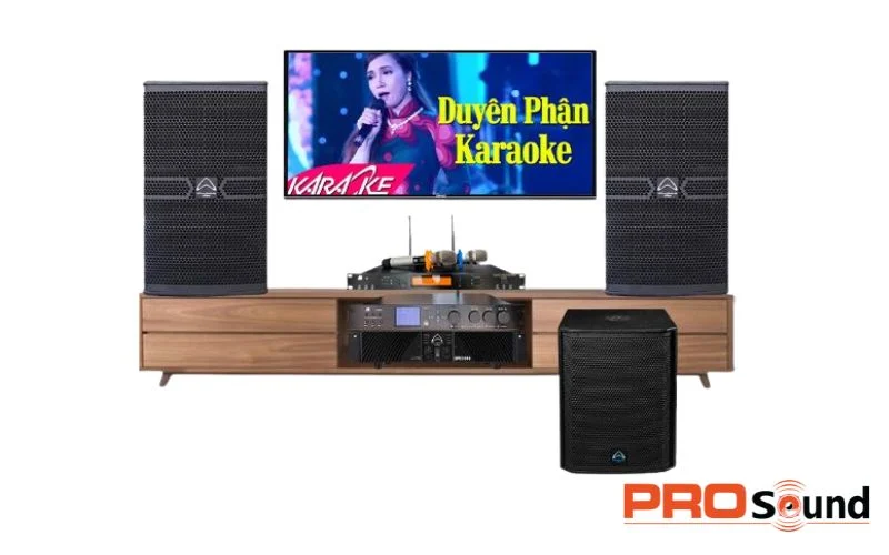 Những đặc điểm nổi bật của loa karaoke cao cấp