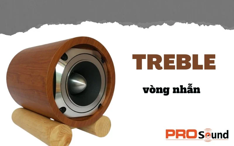 Loa treble vòng nhẫn
