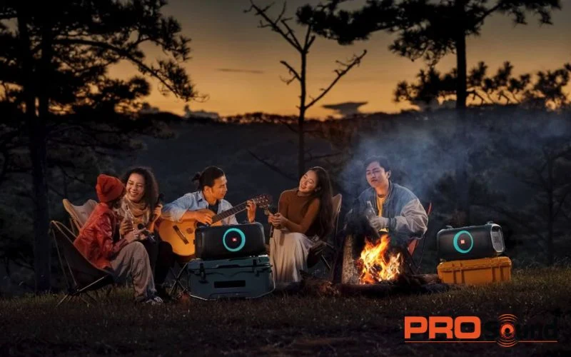 Xác định nhu cầu chính sử dụng loa