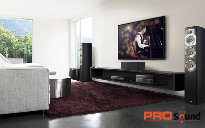 Sự khác nhau giữa loa karaoke và loa nghe nhạc hiện nay